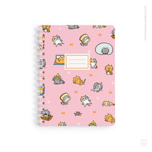 Pack A5 | Cuaderno + libreta A6 + pocket | Gatos