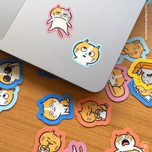 Pack de Mini Stickers de Vinil | 25 stickers | Gatos